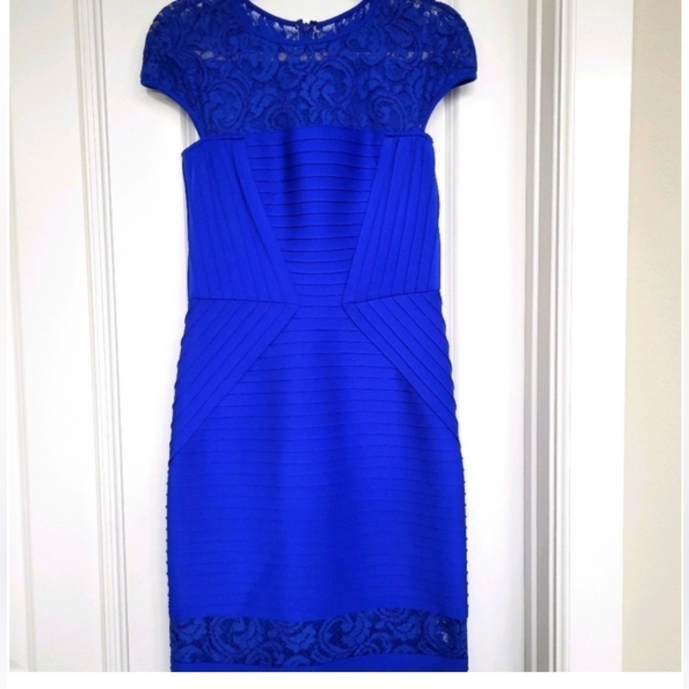 Tadashi Shoji Bodycon Dress